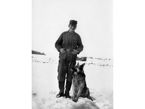 Foto 15